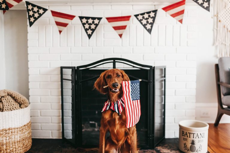 American Home Decor to Brighten Your July 4th 2020