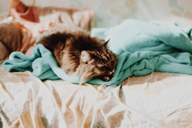 fleece blankets cute designs