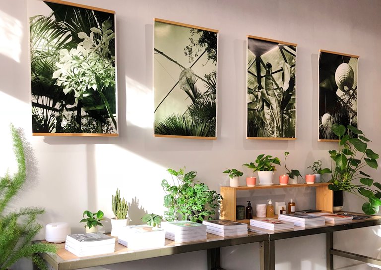 Too Luscious Not to Try: 9 More Ideas To Decorate With Plants