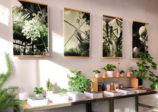Too Luscious Not to Try: 9 More Ideas To Decorate With Plants