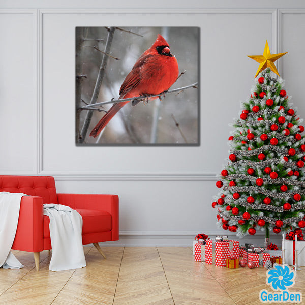 "Cardinal Bird In Winter Snow" Premium Canvas