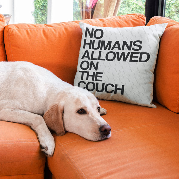 "No Humans Allowed On The Couch" Pet Lover's Pillow